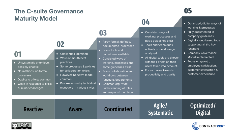 C Suite Governance Maturity Model