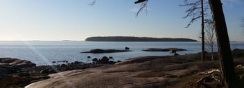 Why Contract Management Matters