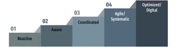 The C-Suite Governance Maturity Model or: How to Improve Profitability